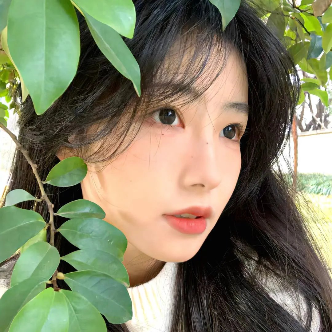等待飞鱼